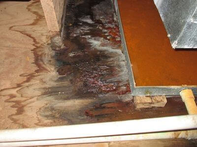 About water damage restoration service - emergency water extraction services experts in Boise