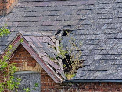 Professional emergency water extraction services services in Boise - water damage restoration service